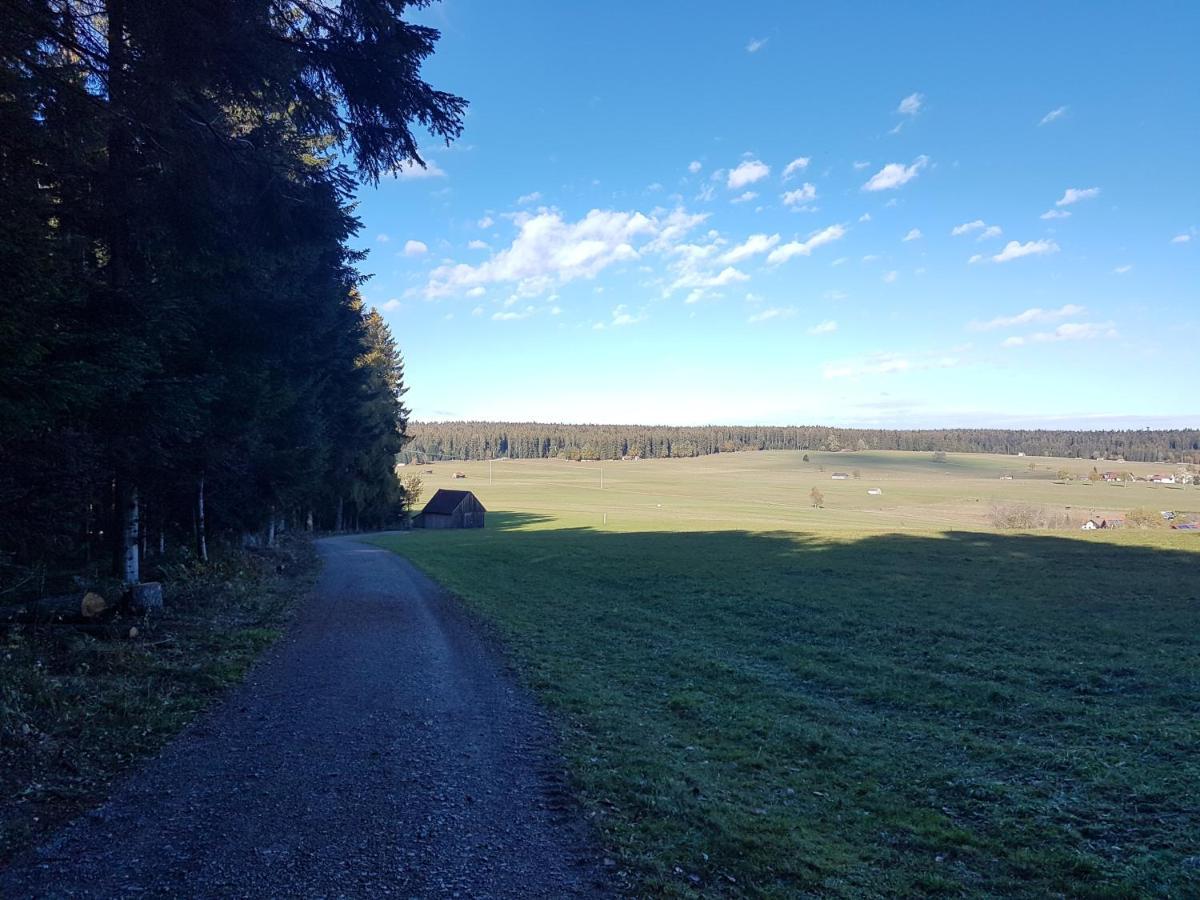 Ferienwohnung Im Schwarzwald Oberwiesenhof Seewald Exterior foto